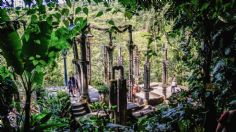 Xilitla, disfruta del fascinante Pueblo Mágico escondido en los bosques de San Luis Potosí