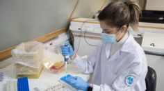 IPN crea prueba para detectan anticuerpos de Covid-19