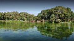 Parque Tezozómoc: Disfruta este fin de semana de su lago en la CDMX; aquí te decimos cómo llegar