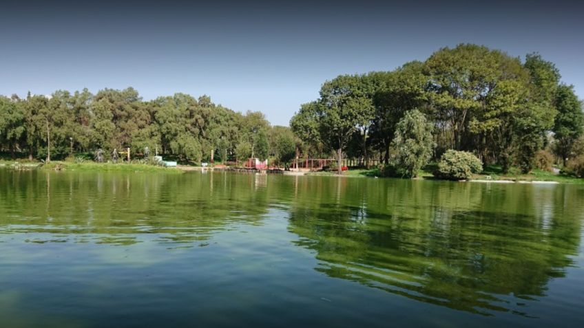 Parque Tezozómoc: Disfruta este fin de semana de su lago en la CDMX; aquí te decimos cómo llegar