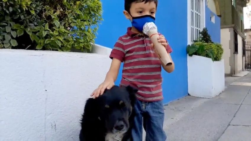 Video Viral: Santi realiza reportaje sobre perritos de la calle y este es el adorable resultado