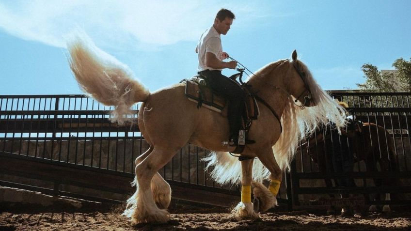 Saúl "Canelo Álvarez: Conoce los caballos y el león del boxeador mexicano