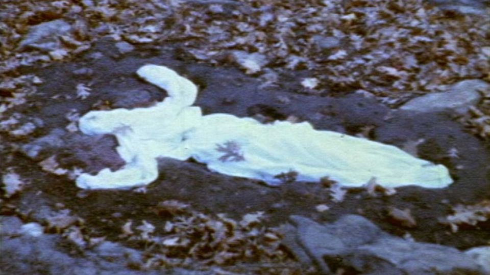 ANA MENDIETA (1948-1985). Alma. Silueta en fuego (1975). Cortesía: Malba