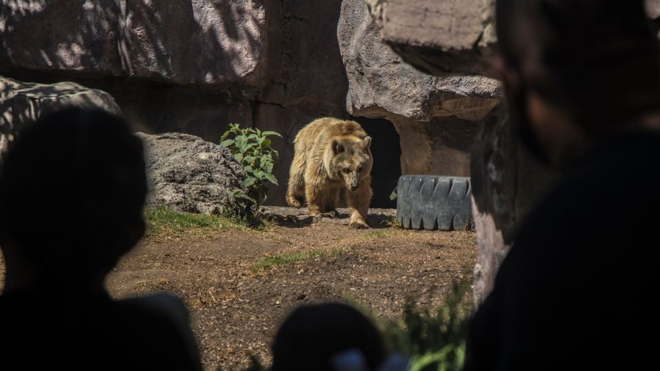 La gente que asistió al zoológico tuvo que acatar medidas sanitarias. Foto: Yadín Xolalpa