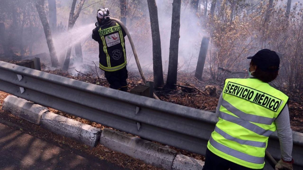 Conafor Reporta 55 Incendios Forestales En 18 Estados De La República