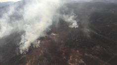 Incendio afecta mil 500 hectáreas de la Sierra Fría en Zacatecas