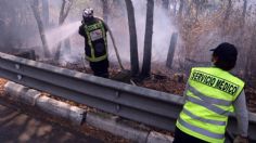 Conafor reporta 55 incendios forestales en 18 estados de la República