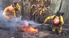 Nuevo León formaliza solicitud de declaratoria de emergencia por incendios forestales