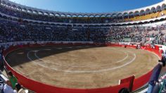 Prohibición de las corridas de toros no está congelada, asegura Ana Villagrán