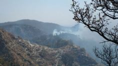 Además del Bosque de la Primavera, ¿en qué otras partes de Jalisco hay incendios?