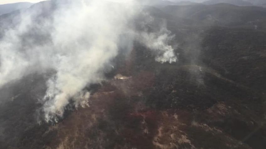 Incendio afecta mil 500 hectáreas de la Sierra Fría en Zacatecas