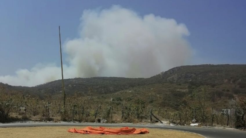 Activan Alerta Atmosférica en Zapopan por incendio en el Bosque de la Primavera: VIDEO