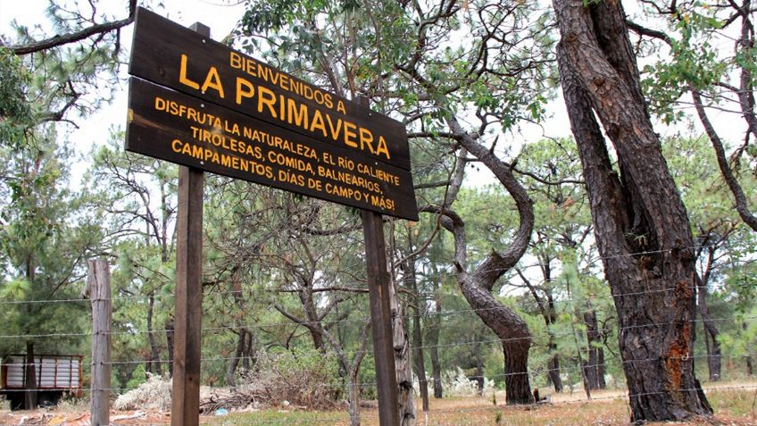 Bosque de la Primavera: ¿Dónde está y cómo es el área protegida que se incendió este Jueves Santo?