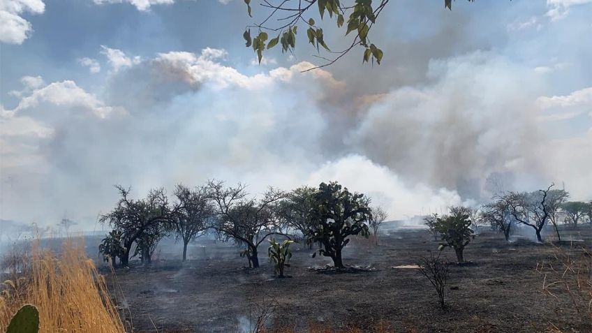 Jalisco: Cierran parcialmente el Bosque de la Primavera, cinco aeronaves combaten el incendio