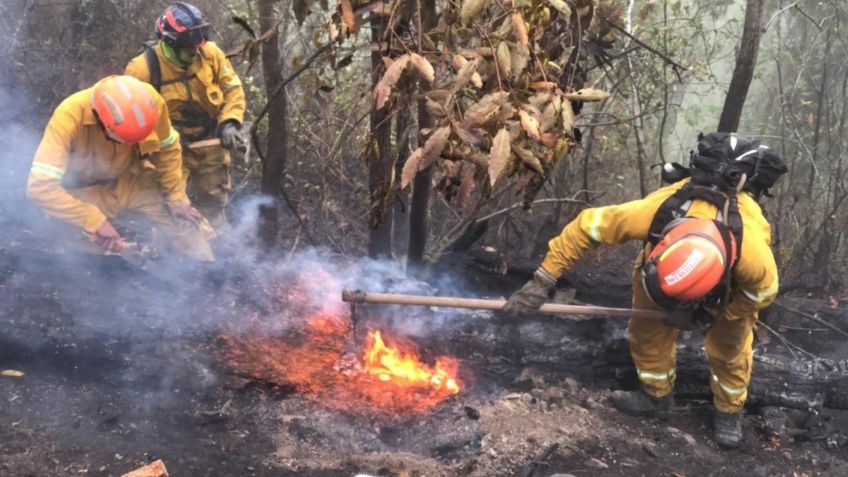 Nuevo León formaliza solicitud de declaratoria de emergencia por incendios forestales