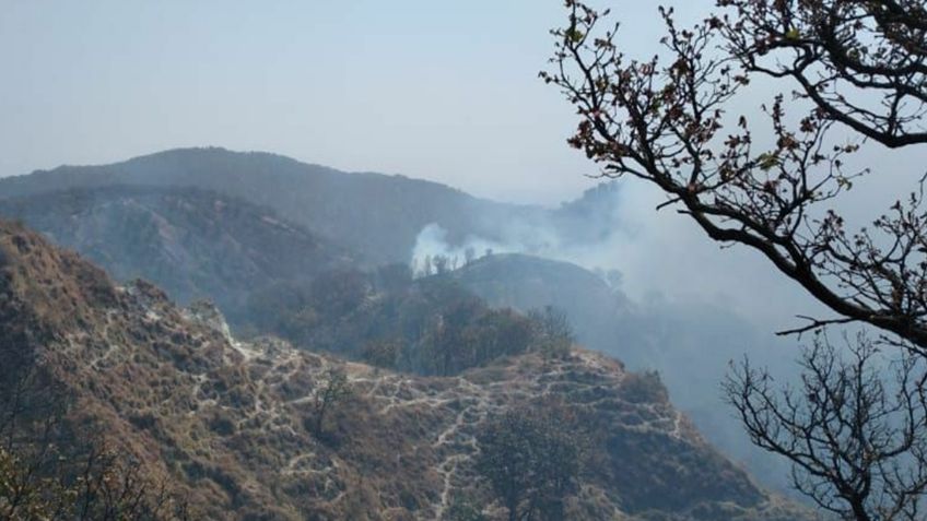 Además del Bosque de la Primavera, ¿en qué otras partes de Jalisco hay incendios?