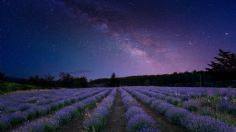 Lluvia cósmica: Científicos descubren que cada año llegan a la Tierra 5 mil toneladas de polvo espacial