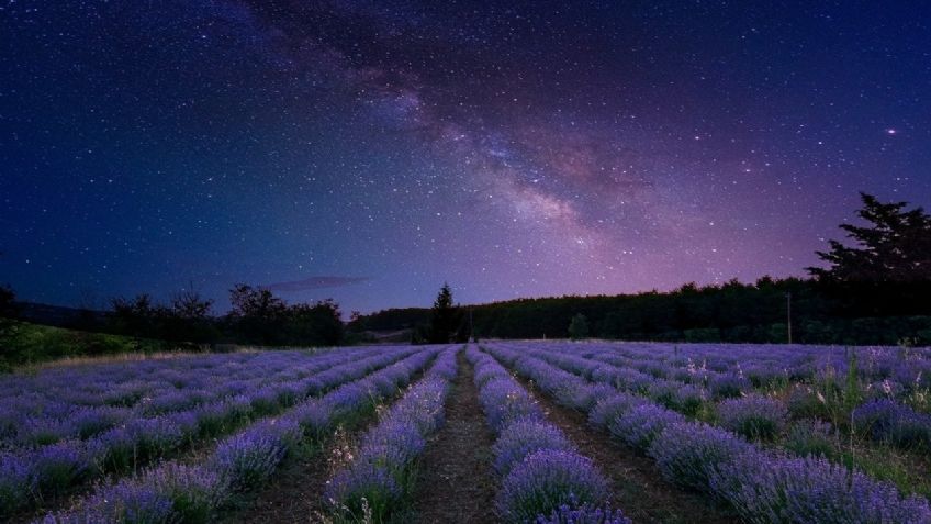 Lluvia cósmica: Científicos descubren que cada año llegan a la Tierra 5 mil toneladas de polvo espacial