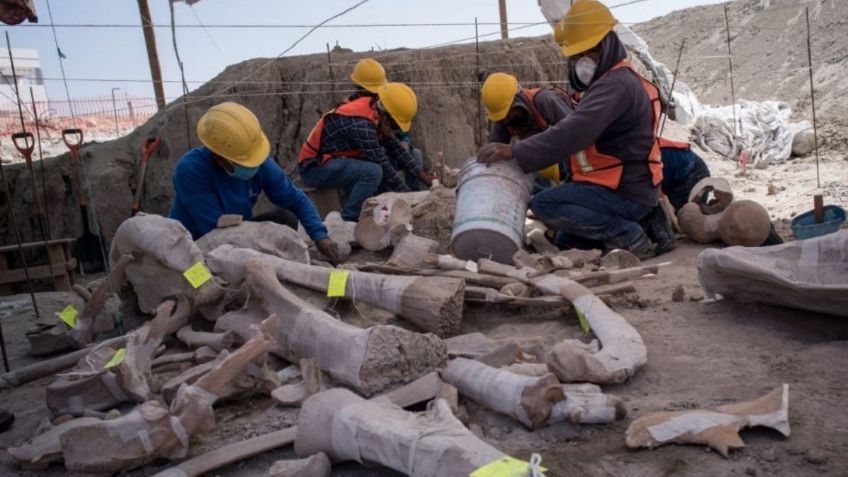 Avanzan las obras en Santa Lucía y esto es lo que se sabe de los mamuts hallados