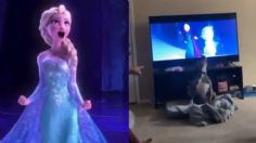 VIDEO VIRAL: ¡Libre soy! Perrito cautiva la red al realizar peculiar “baile” de Frozen