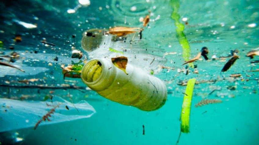 Más de 30 países se unen al proyecto para prevenir y reducir el plástico en el mar