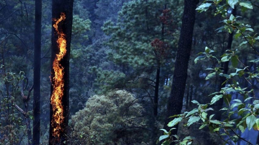 Incendios forestales amenazan México; hay 67 activos en 15 estados