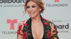 Aracely Arámbula prohíbe que su imagen salga en Luis Miguel: La serie; ella misma contará su versión