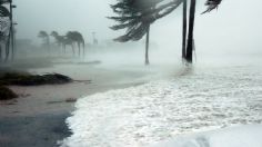 Activan ALERTA por caída de GRANIZO "gigante" y TORNADOS que ponen en RIESGO a millones en Florida