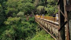 Muere mujer tras caer de puente colgante en Xico, Veracruz