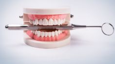 ¿Nueva dentadura? La ciencia encontró la forma de REGENERAR los dientes