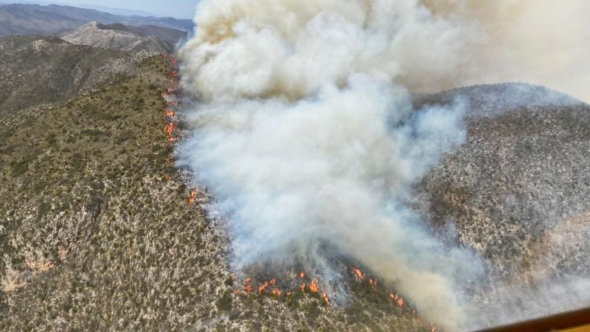 Ingresa nuevo incendio a NL; ahora desde San Luis Potosí