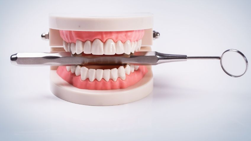 ¿Nueva dentadura? La ciencia encontró la forma de REGENERAR los dientes