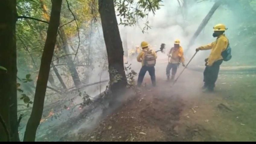 Más de 50 hectáreas del Parque Nacional del Tepozteco son consumidas por las llamas