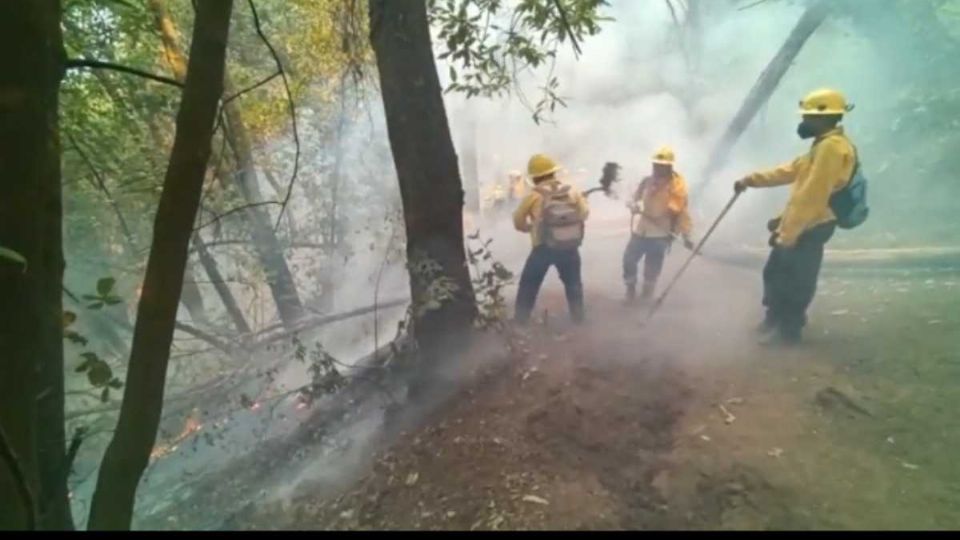 Las autoridades buscan apagar el fuego