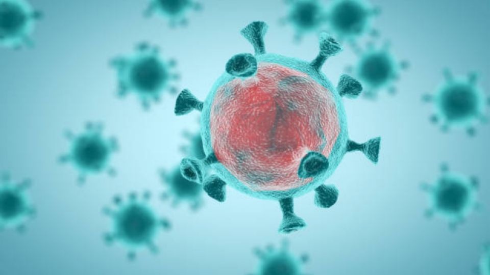 El virus ha ido avanzando y mutando a lo largo de los meses