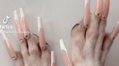 VIDEO VIRAL: ¿Maltrato animal? Influencer le pone uñas postizas a su perro