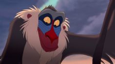 ¿Eres tu Rafiki? Nace bebé mandril en Disney's Animal Kingdom: VIDEO