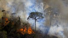 Aumenta el daño en la Amazonía por incendios de 2020