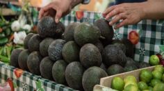 ¡Por los cielos ! El aguacate se cotiza como verdadero oro negro al igual que los limones