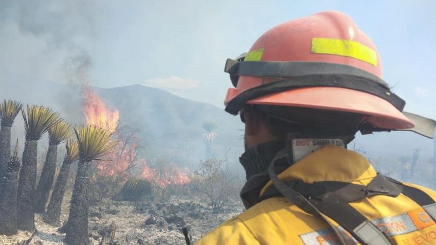 Protección Civil de Nuevo León considera de alto riesgo incendio que se propagó desde SLP