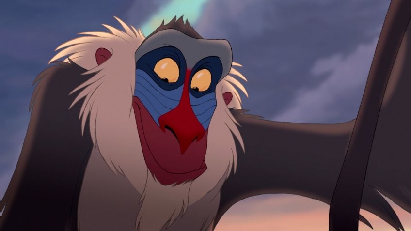 ¿Eres tu Rafiki? Nace bebé mandril en Disney's Animal Kingdom: VIDEO