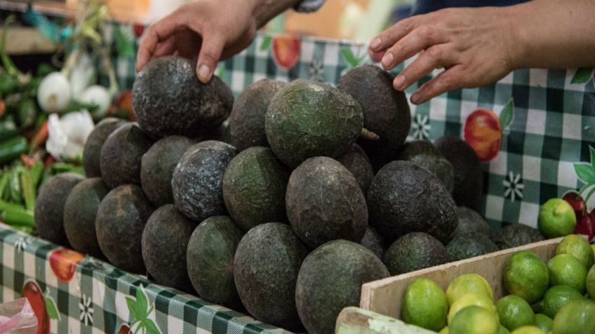 ¡Por los cielos ! El aguacate se cotiza como verdadero oro negro al igual que los limones