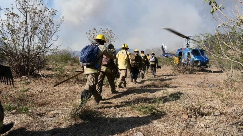 Se registra incendio en el Bosque de la Primavera, en Tlajomulco