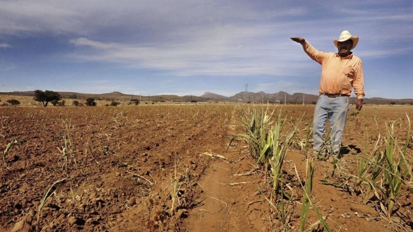 ‘El clima afecta la producción en cosechas’