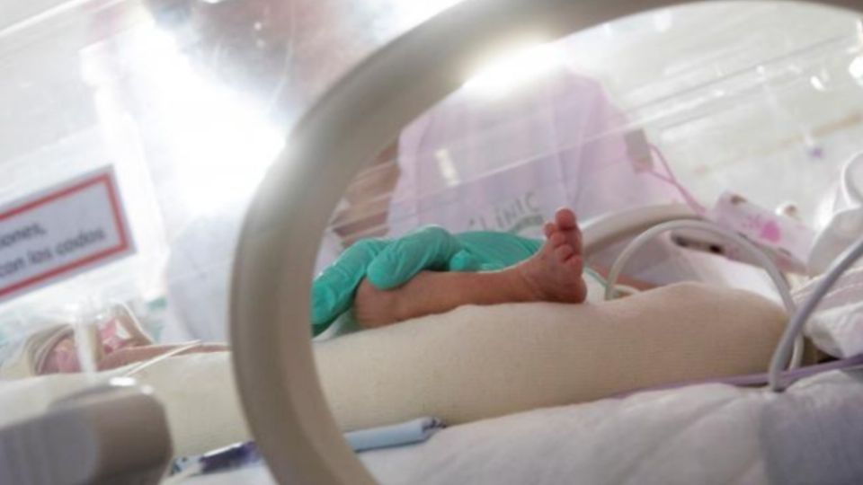 Los anticuerpos se traspasan al bebé a través de la placenta. FOTO: EFE