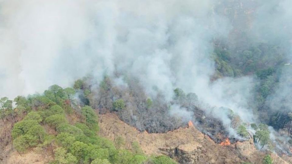 Imagen del incendio en el Parque Nacional El Tepozteco. Foto: Twitter