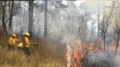 Morelos: Se reportan 284 hectáreas afectadas por el incendio en Tepoztlán