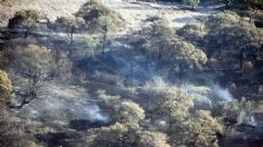 Controlado, incendio forestal en Bosque La Primavera; reporta Gobierno de Jalisco