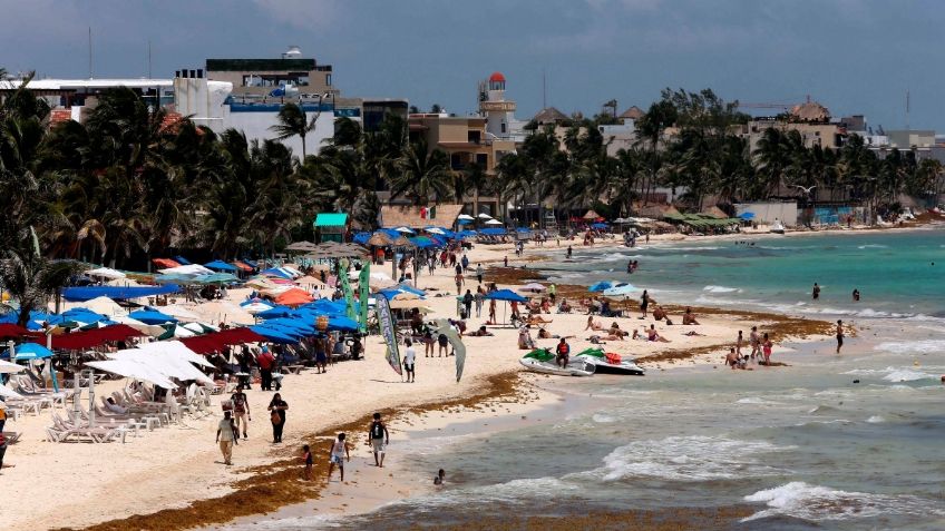 Sargazo empieza a llegar al Caribe mexicano, ¿cuáles serán las playas más afectadas?