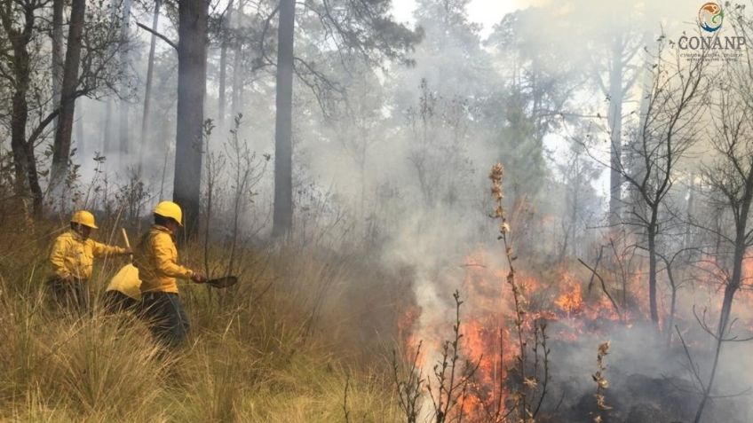 Morelos: Se reportan 284 hectáreas afectadas por el incendio en Tepoztlán